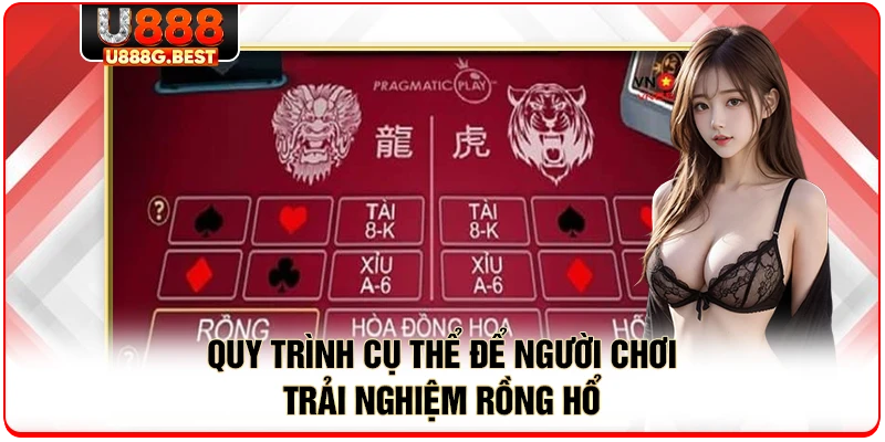 Quy trình cụ thể để người chơi trải nghiệm rồng hổ